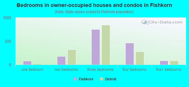 Bedrooms in owner-occupied houses and condos in Fishkorn