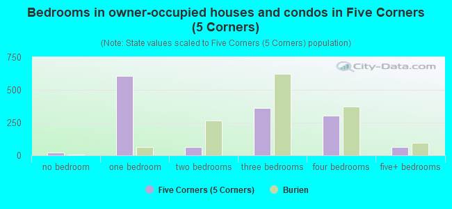 Bedrooms in owner-occupied houses and condos in Five Corners (5 Corners)