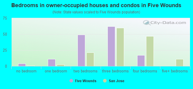 Bedrooms in owner-occupied houses and condos in Five Wounds