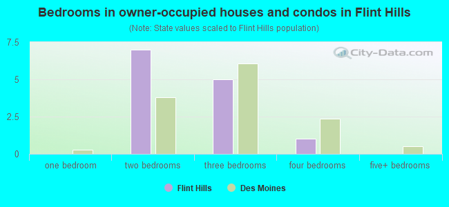 Bedrooms in owner-occupied houses and condos in Flint Hills