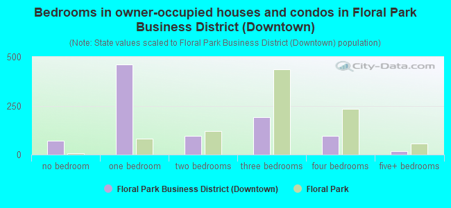 Bedrooms in owner-occupied houses and condos in Floral Park Business District (Downtown)