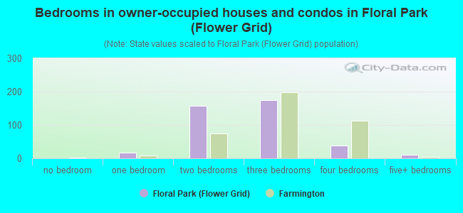 Bedrooms in owner-occupied houses and condos in Floral Park (Flower Grid)