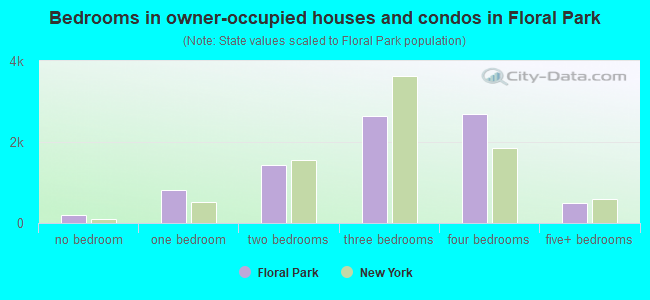 Bedrooms in owner-occupied houses and condos in Floral Park