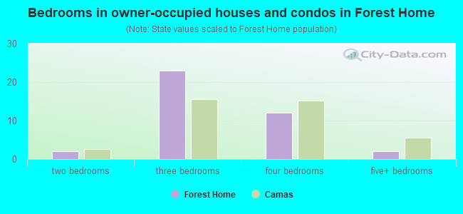 Bedrooms in owner-occupied houses and condos in Forest Home