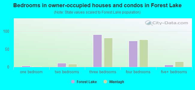 Bedrooms in owner-occupied houses and condos in Forest Lake