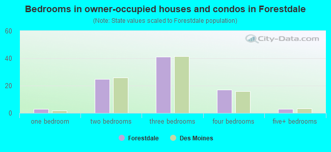Bedrooms in owner-occupied houses and condos in Forestdale