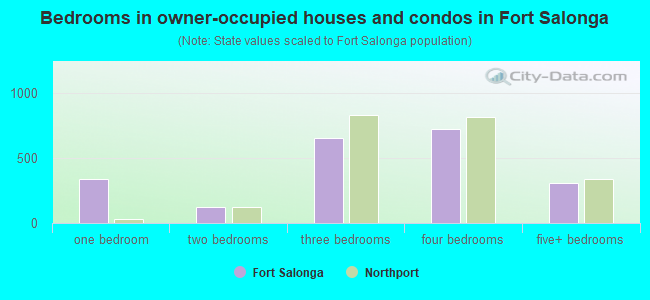 Bedrooms in owner-occupied houses and condos in Fort Salonga