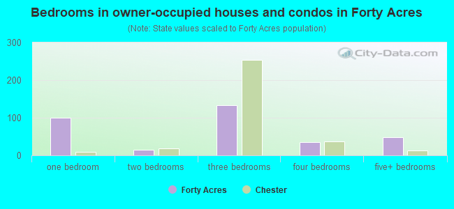 Bedrooms in owner-occupied houses and condos in Forty Acres