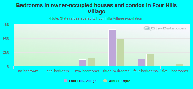 Bedrooms in owner-occupied houses and condos in Four Hills Village
