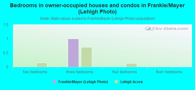 Bedrooms in owner-occupied houses and condos in Frankle/Mayer (Lehigh Photo)