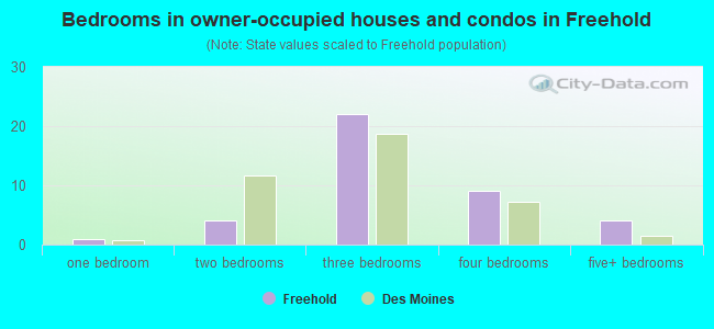 Bedrooms in owner-occupied houses and condos in Freehold