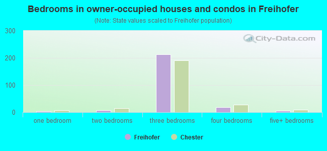 Bedrooms in owner-occupied houses and condos in Freihofer