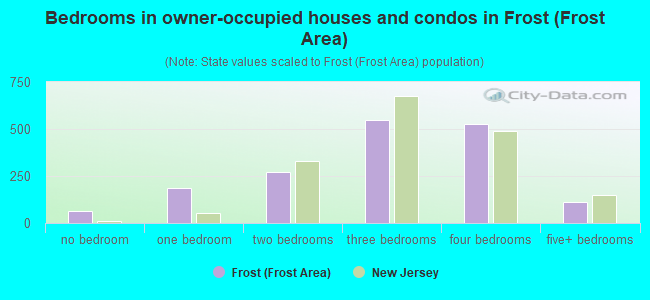 Bedrooms in owner-occupied houses and condos in Frost (Frost Area)