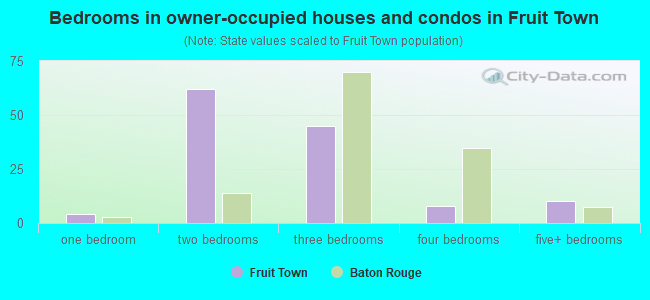 Bedrooms in owner-occupied houses and condos in Fruit Town