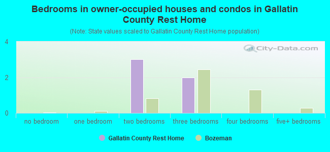 Bedrooms in owner-occupied houses and condos in Gallatin County Rest Home