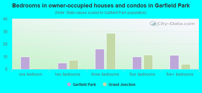Bedrooms in owner-occupied houses and condos in Garfield Park