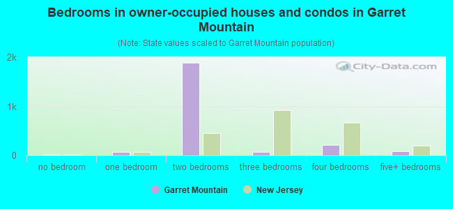 Bedrooms in owner-occupied houses and condos in Garret Mountain