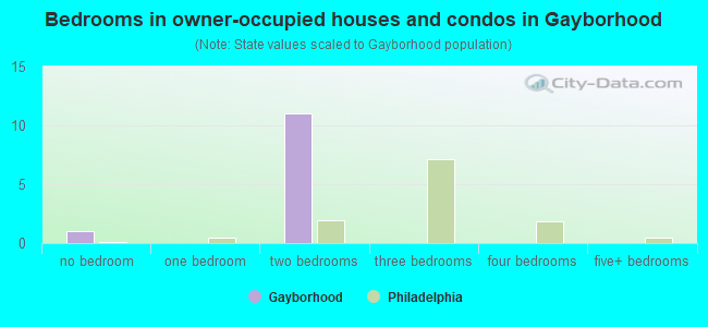 Bedrooms in owner-occupied houses and condos in Gayborhood