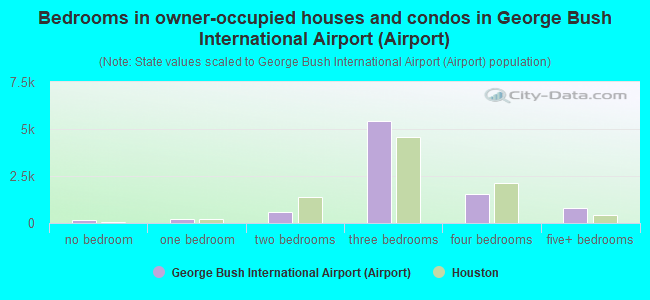 Bedrooms in owner-occupied houses and condos in George Bush International Airport (Airport)