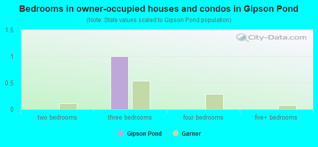 Bedrooms in owner-occupied houses and condos in Gipson Pond