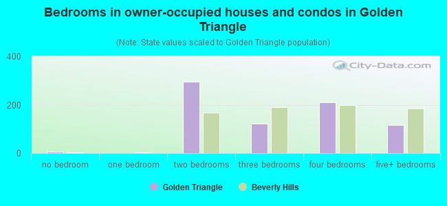 Bedrooms in owner-occupied houses and condos in Golden Triangle