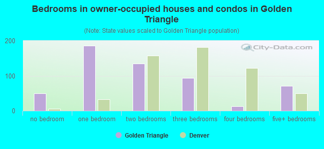Bedrooms in owner-occupied houses and condos in Golden Triangle