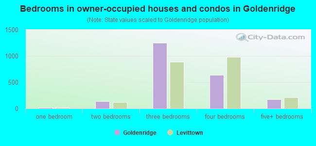 Bedrooms in owner-occupied houses and condos in Goldenridge
