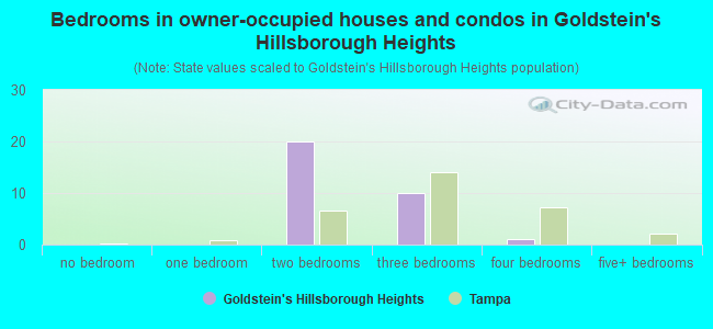 Bedrooms in owner-occupied houses and condos in Goldstein's Hillsborough Heights
