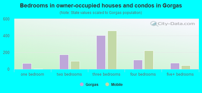 Bedrooms in owner-occupied houses and condos in Gorgas