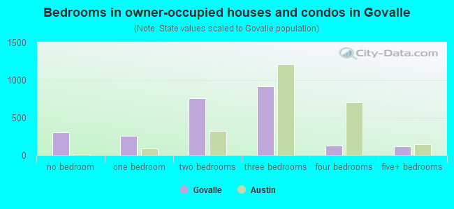 Bedrooms in owner-occupied houses and condos in Govalle