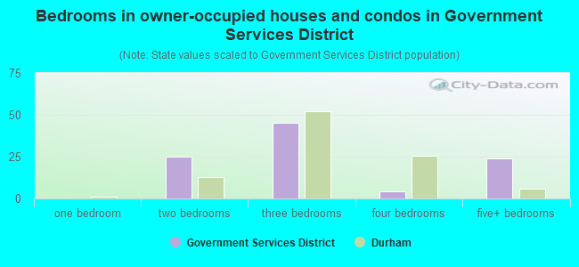 Bedrooms in owner-occupied houses and condos in Government Services District