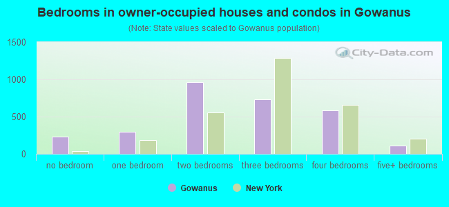 Bedrooms in owner-occupied houses and condos in Gowanus