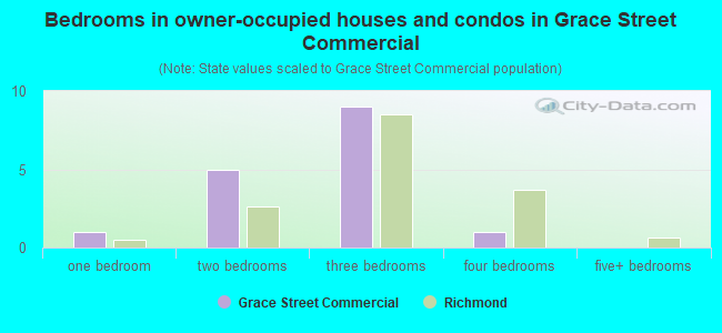 Bedrooms in owner-occupied houses and condos in Grace Street Commercial