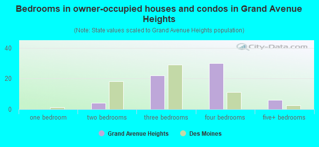 Bedrooms in owner-occupied houses and condos in Grand Avenue Heights