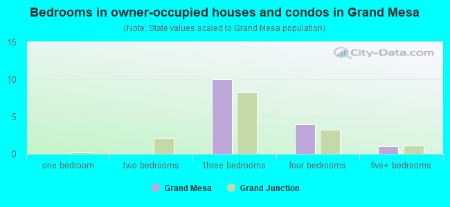 Bedrooms in owner-occupied houses and condos in Grand Mesa