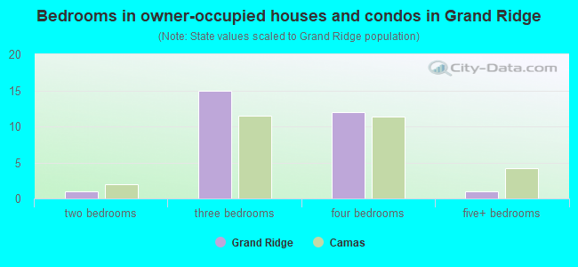 Bedrooms in owner-occupied houses and condos in Grand Ridge