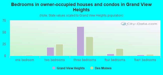 Bedrooms in owner-occupied houses and condos in Grand View Heights