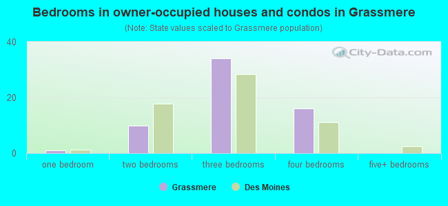 Bedrooms in owner-occupied houses and condos in Grassmere