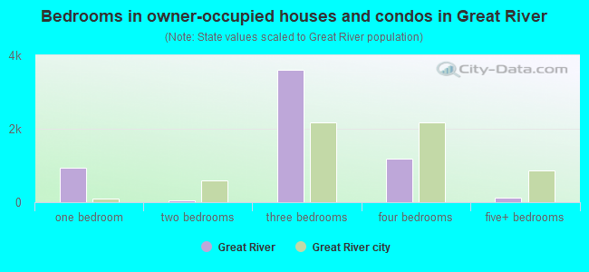 Bedrooms in owner-occupied houses and condos in Great River