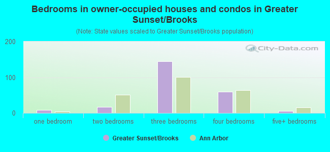 Bedrooms in owner-occupied houses and condos in Greater Sunset/Brooks