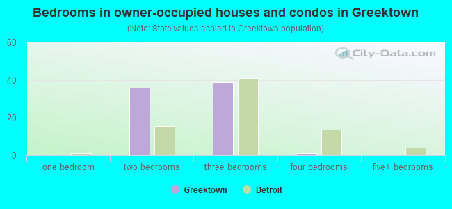 Bedrooms in owner-occupied houses and condos in Greektown