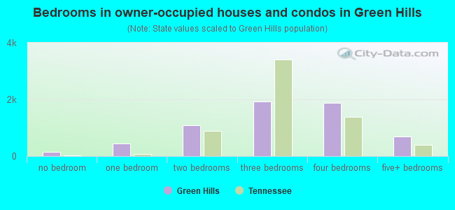 Bedrooms in owner-occupied houses and condos in Green Hills