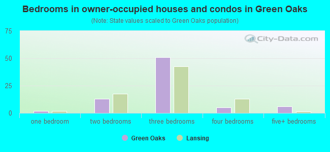 Bedrooms in owner-occupied houses and condos in Green Oaks