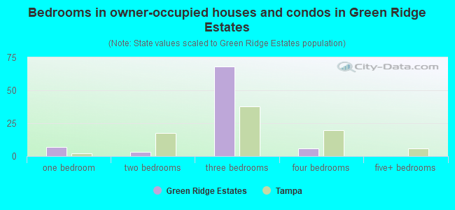 Bedrooms in owner-occupied houses and condos in Green Ridge Estates