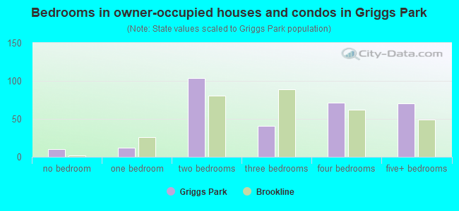 Bedrooms in owner-occupied houses and condos in Griggs Park