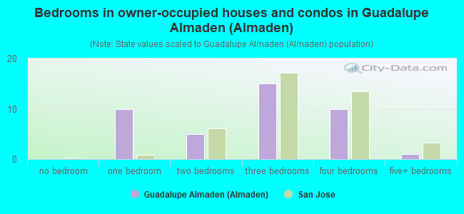 Bedrooms in owner-occupied houses and condos in Guadalupe Almaden (Almaden)