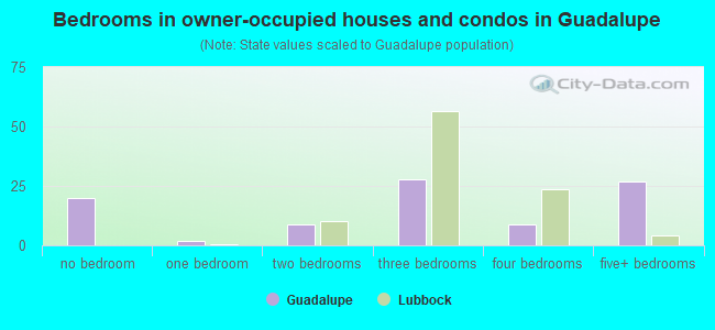 Bedrooms in owner-occupied houses and condos in Guadalupe