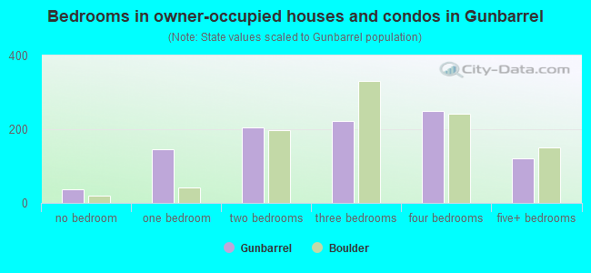 Bedrooms in owner-occupied houses and condos in Gunbarrel