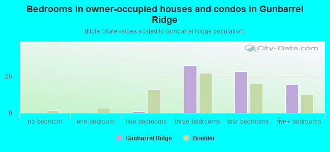 Bedrooms in owner-occupied houses and condos in Gunbarrel Ridge