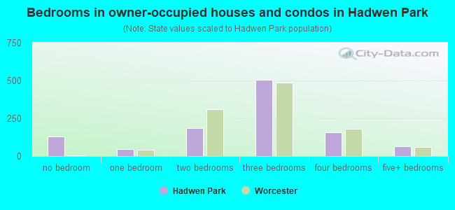 Bedrooms in owner-occupied houses and condos in Hadwen Park